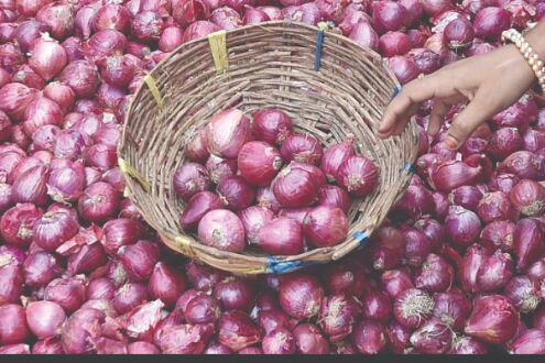 State to offer 50% subsidy for setting up onion cold storage facilities State to offer 50% subsidy for setting up onion cold storage facilities