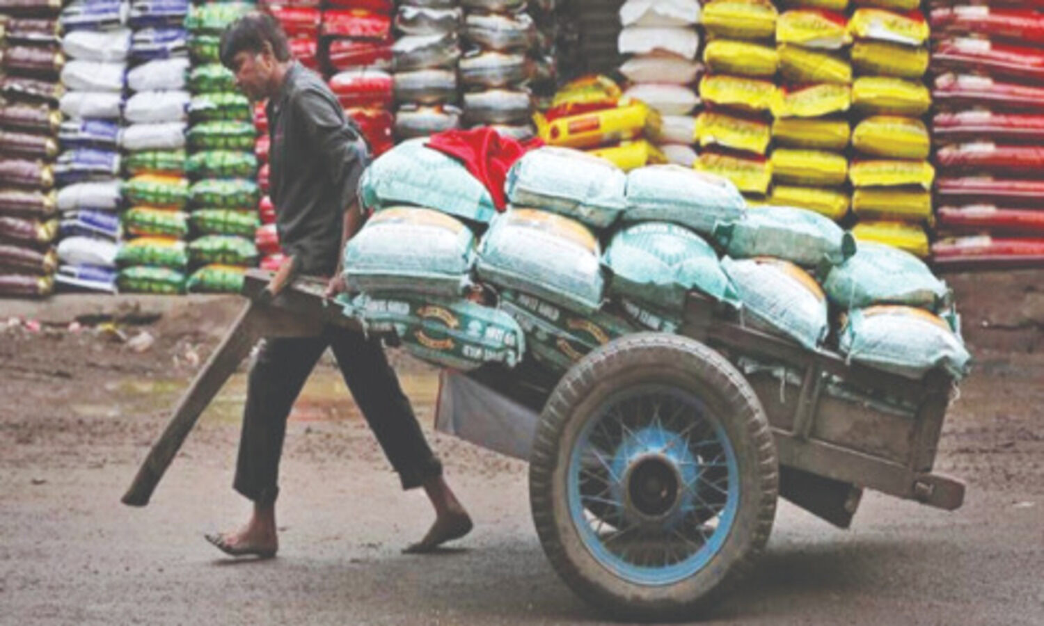8.43 crore workers registered on e-Shram portal till Nov 20