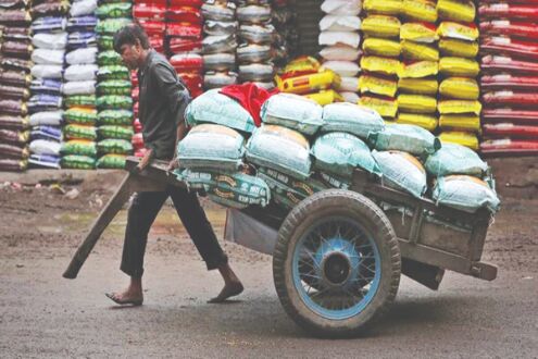 8.43 crore workers registered on e-Shram portal till Nov 20 8.43 crore workers registered on e-Shram portal till Nov 20