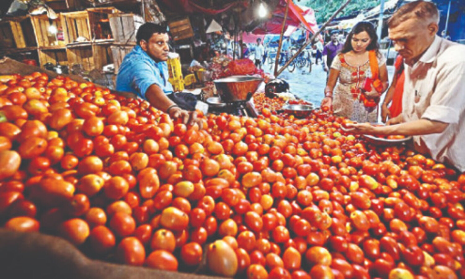 Retail tomato prices at `80/kg in most cities, due to rains