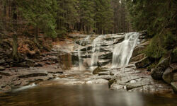 Nexus of Good: Starting from scratch