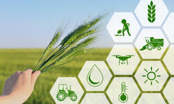 Greater synergy needed Greater synergy needed