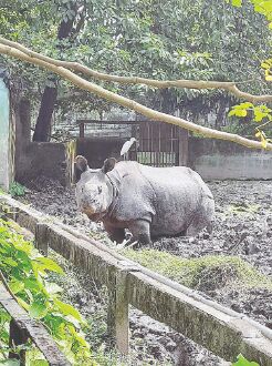 Now, Alipore Zoo inmates can be adopted on monthly basis