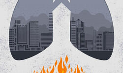 More action needed More action needed