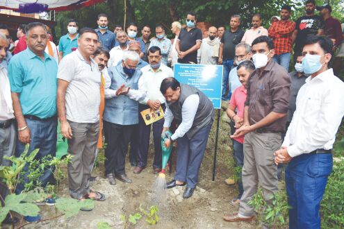 HP: First pilot project for cinnamon cultivation HP: First pilot project for cinnamon cultivation