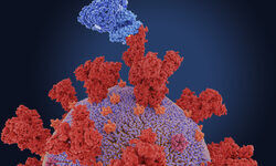 Not an endgame! Not an endgame!