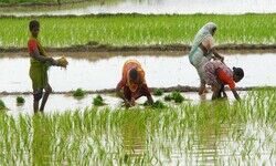 Handling water footprints Handling water footprints