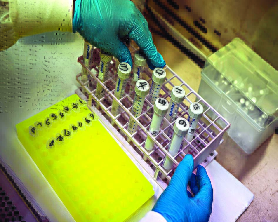 Kolkata: UK returnee tests Covid +ve, genome sequencing underway