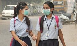 Restored to normalcy