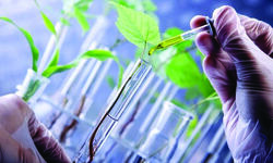 Agricultural varsities running short of 37% researchers Agricultural varsities running short of 37% researchers