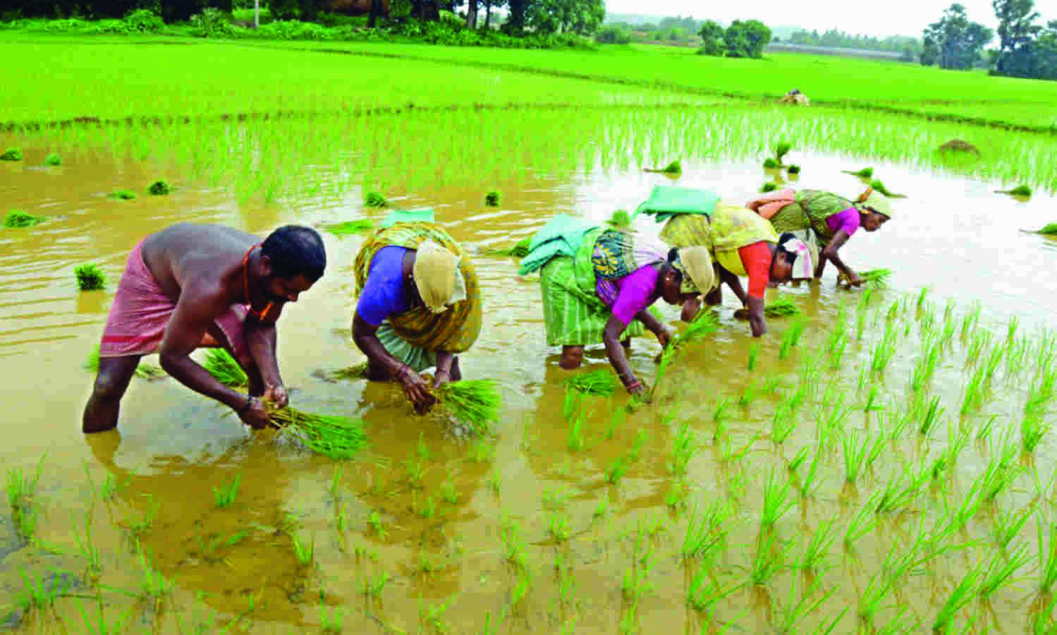 Sinchayee Yojana   for 21-26 cleared