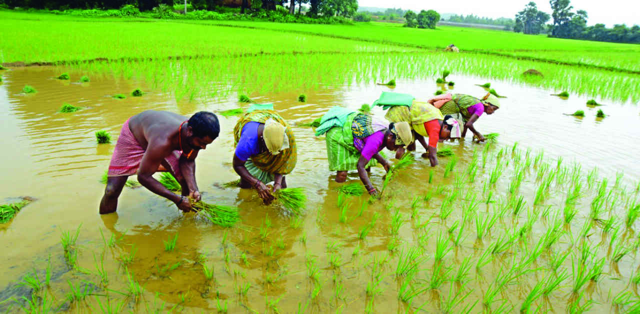 Sinchayee Yojana   for 21-26 cleared