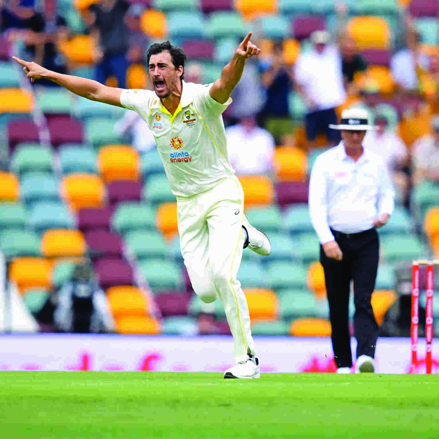 Starc and Lyon wreck England, Aussies sniff win
