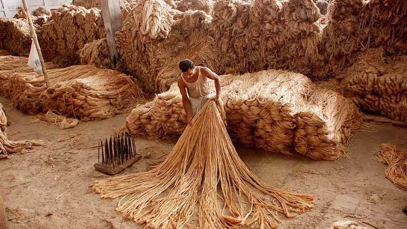 Jute industry suffers Rs 1,500cr loss amid raw material crisis: Sources Jute industry suffers Rs 1,500cr loss amid raw material crisis: Sources