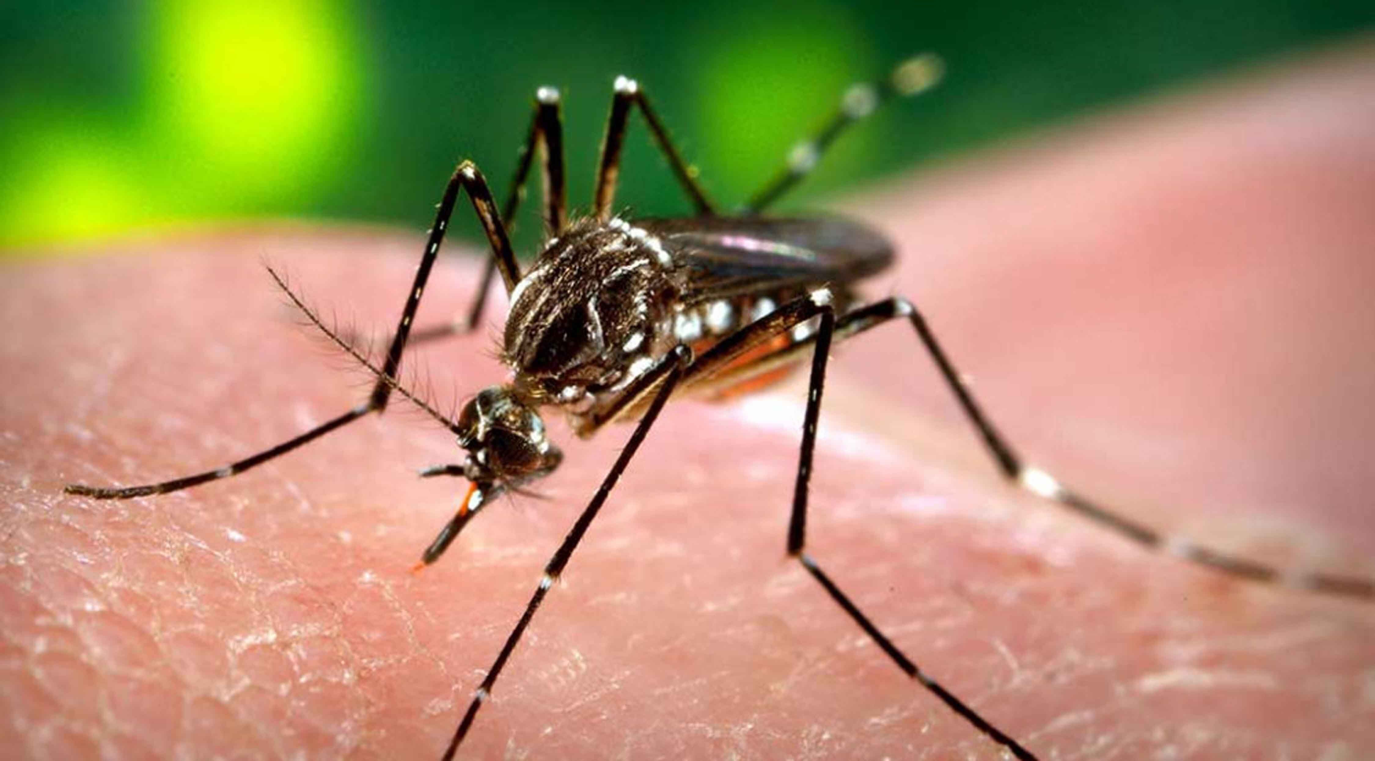 Delhis dengue death toll rises to 17, case count crosses 9,400: Report Delhis dengue death toll rises to 17, case count crosses 9,400: Report