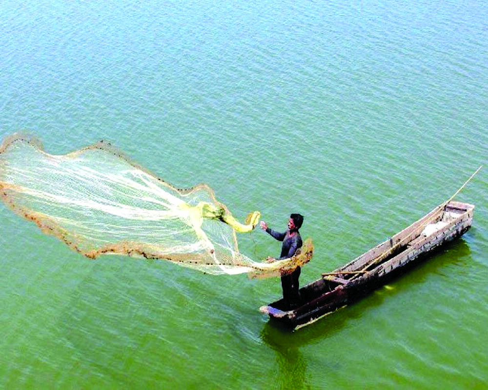 SL Navy arrests 12 more Indian fishermen for alleged poaching