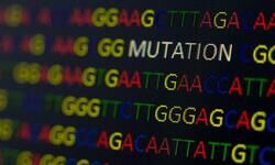 Identifying Covid-19 variants Identifying Covid-19 variants