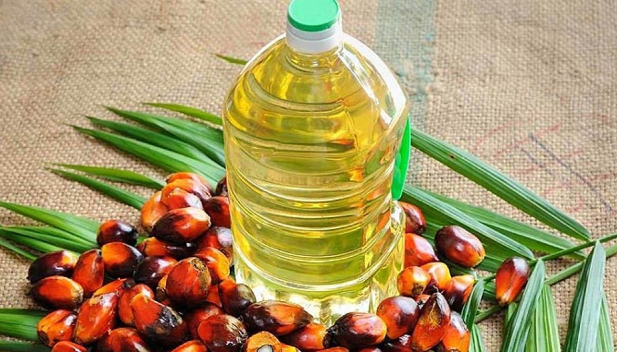Govt slashes import duty on refined palm oil to 12.5 pc to cool retail prices Govt slashes import duty on refined palm oil to 12.5 pc to cool retail prices