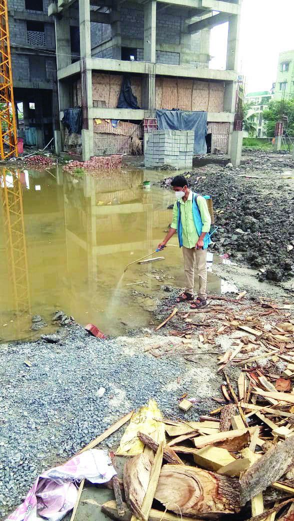 As mercury dips, dengue cases on decline in city As mercury dips, dengue cases on decline in city