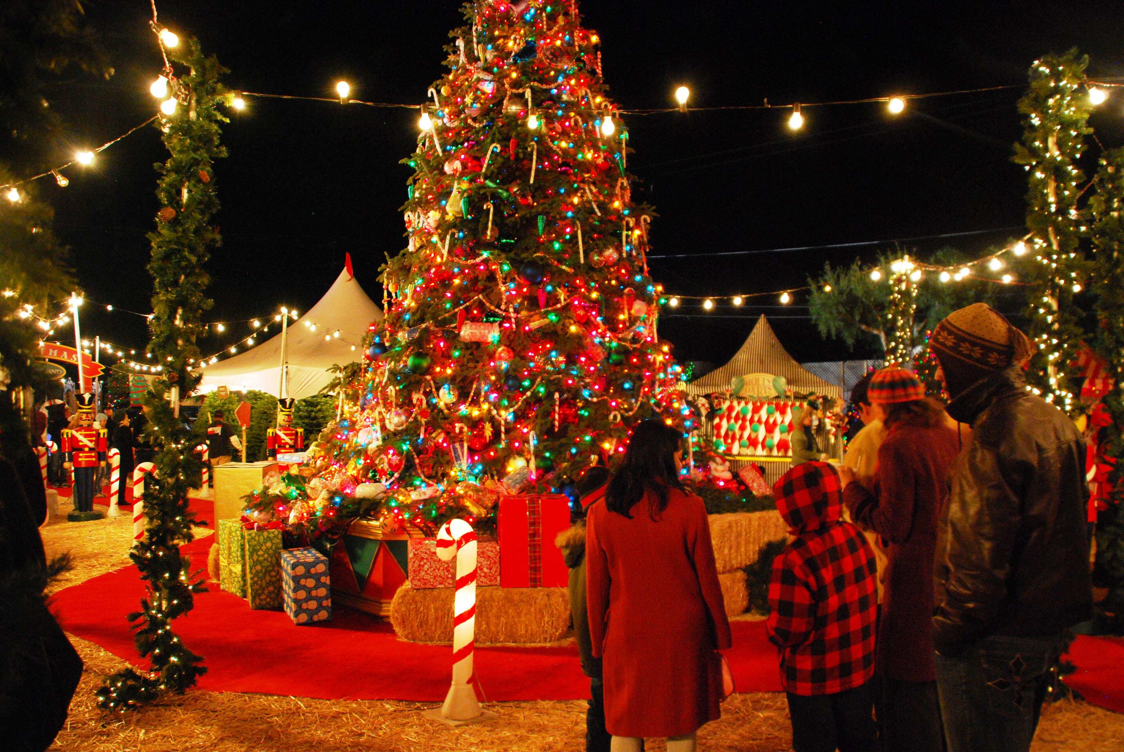 Ensure no Christmas, New Year gathering in Delhi, DDMA tells DMs amid Omicron scare Ensure no Christmas, New Year gathering in Delhi, DDMA tells DMs amid Omicron scare