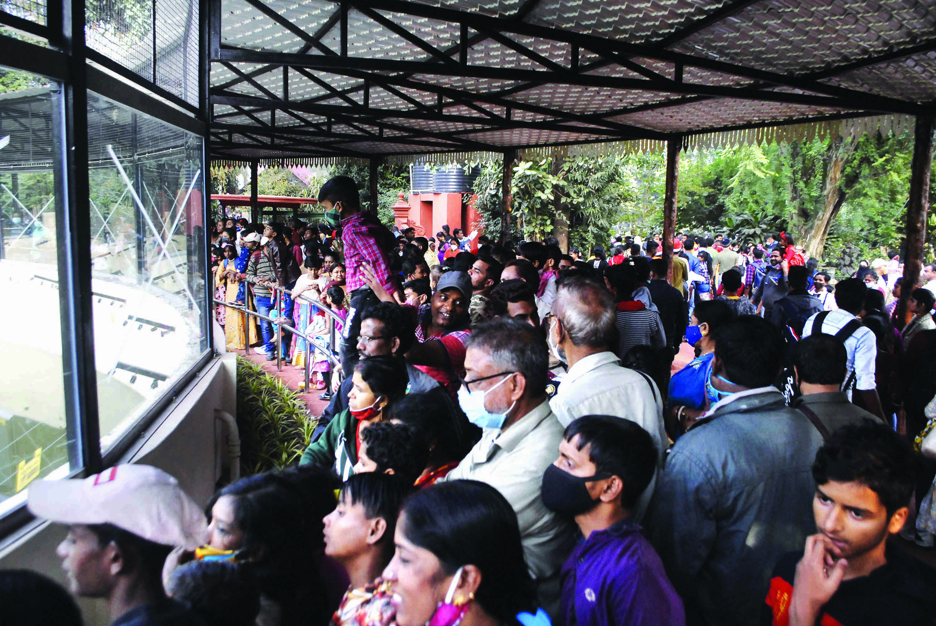 Revellers throng tourist spots across city on last Sunday of the year; Health dept flags concern
