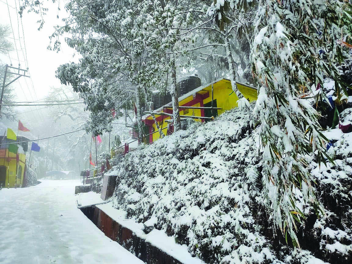 Sudden snowfall in Darjeeling leave tourists ecstatic