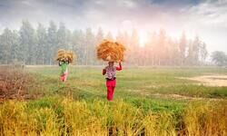 Drawing policy insights Drawing policy insights