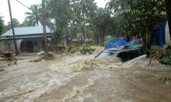 Holistic solution needed Holistic solution needed