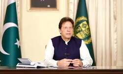 Backed into a corner