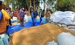 S Dinajpur: Paddy procurement via direct purchase centres starts