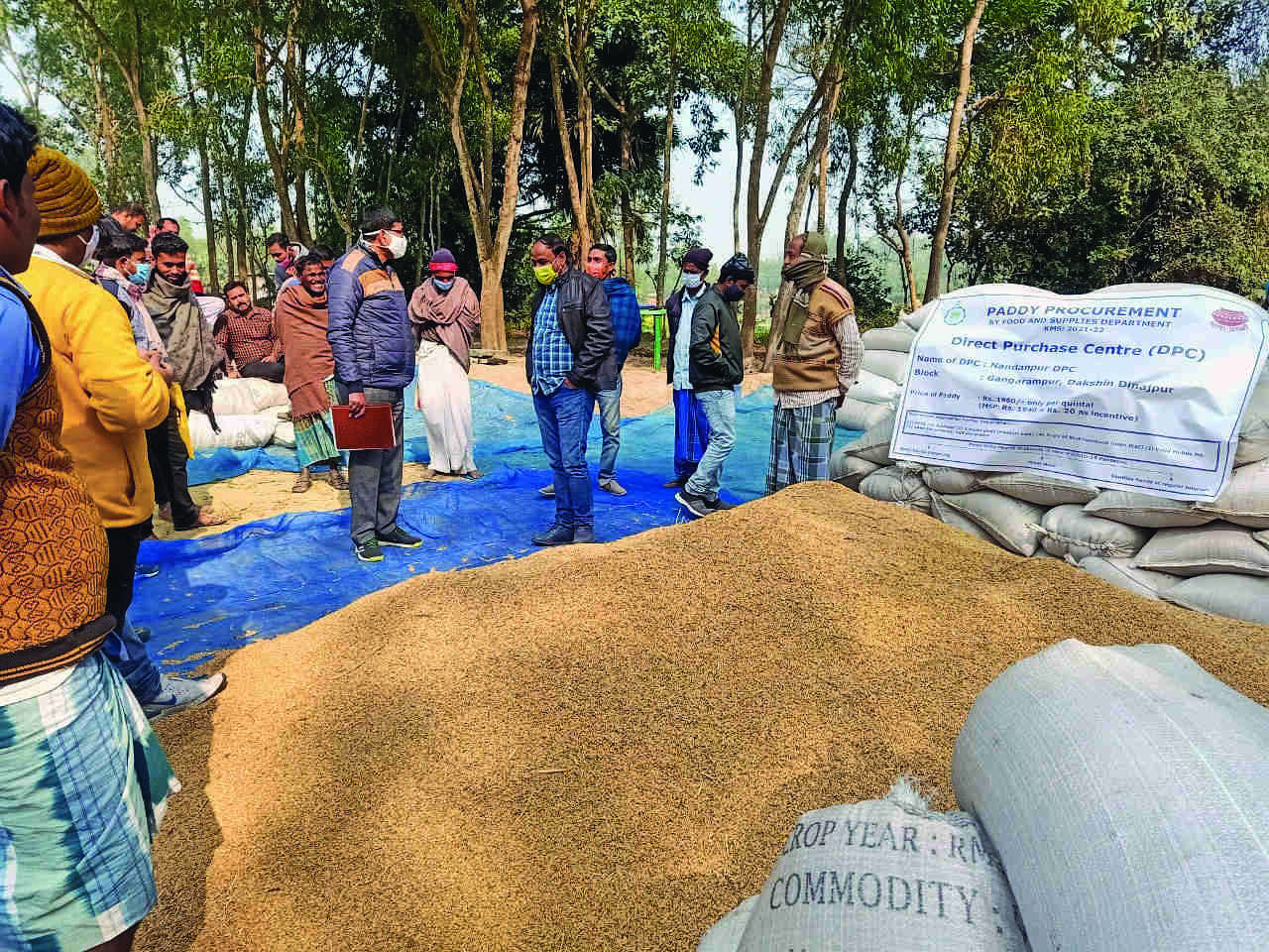 S Dinajpur: Paddy procurement via direct purchase centres starts