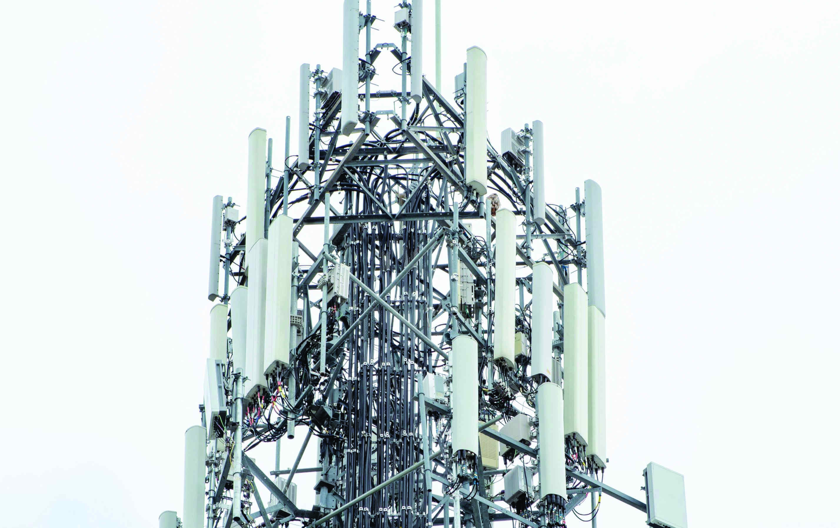 Indias digital infra sector needs investment of up to $23 bn by 2025