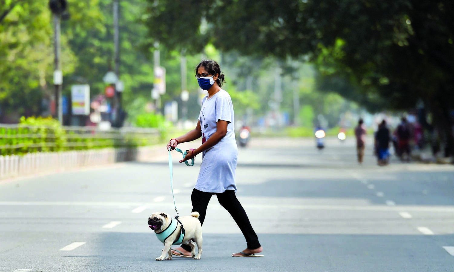 Tamil Nadu allows schools, colleges to reopen, withdraws night curfew and Sunday lockdown