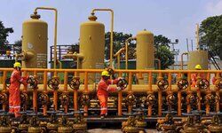 Indian oil industry: Rise of domestic players