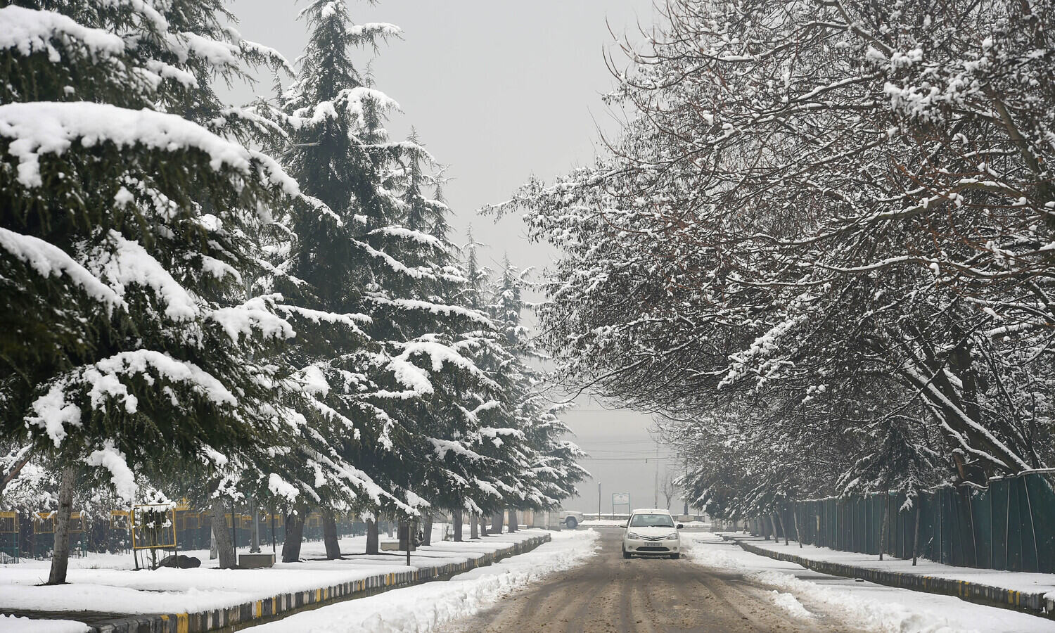 Fresh snowfall, rain likely in Kashmir