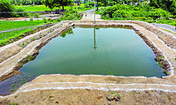 Catching the rains Catching the rains