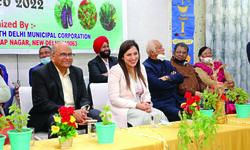 SDMC starts 1st fully digital primary school SDMC starts 1st fully digital primary school