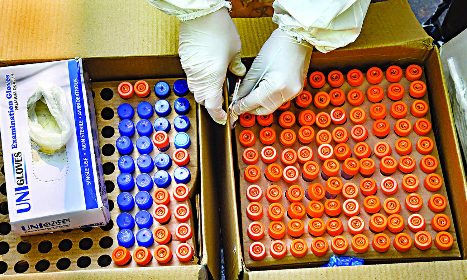 Reports claiming 50 lakh unused Covishield doses may go waste by month-end misleading: Govt