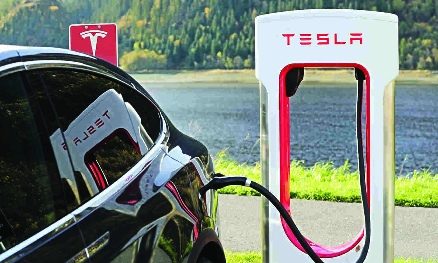 Teslas tax breaks call rejected by India in fresh blow to Musk