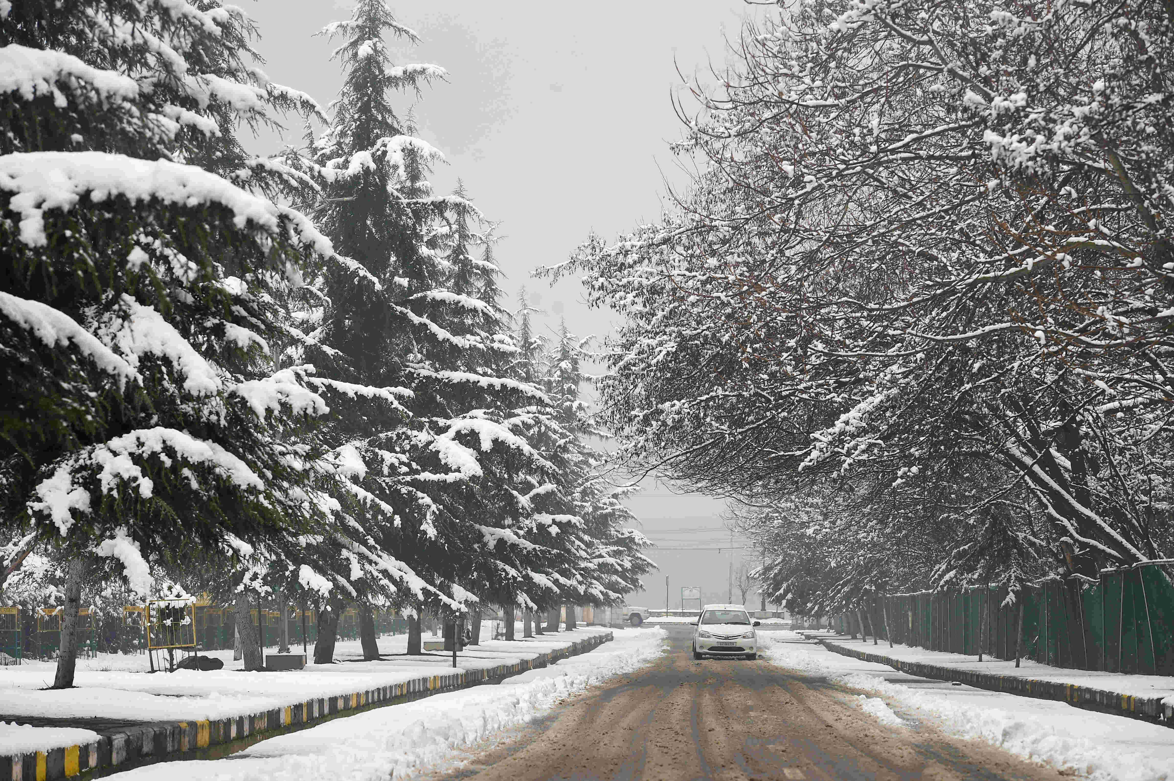 Fresh snowfall, rain in Kashmir., mercury dips across Valley Fresh snowfall, rain in Kashmir., mercury dips across Valley