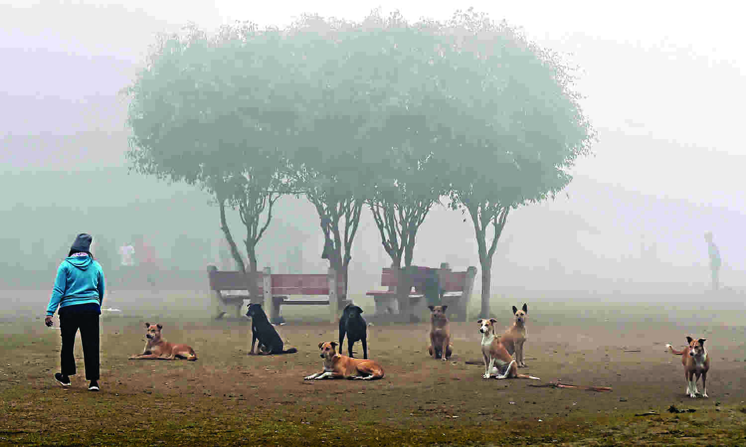 Capitals maximum temperature settles at 19.5 degrees C, air quality in poor category