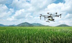 Pathway to rural growth? Pathway to rural growth?