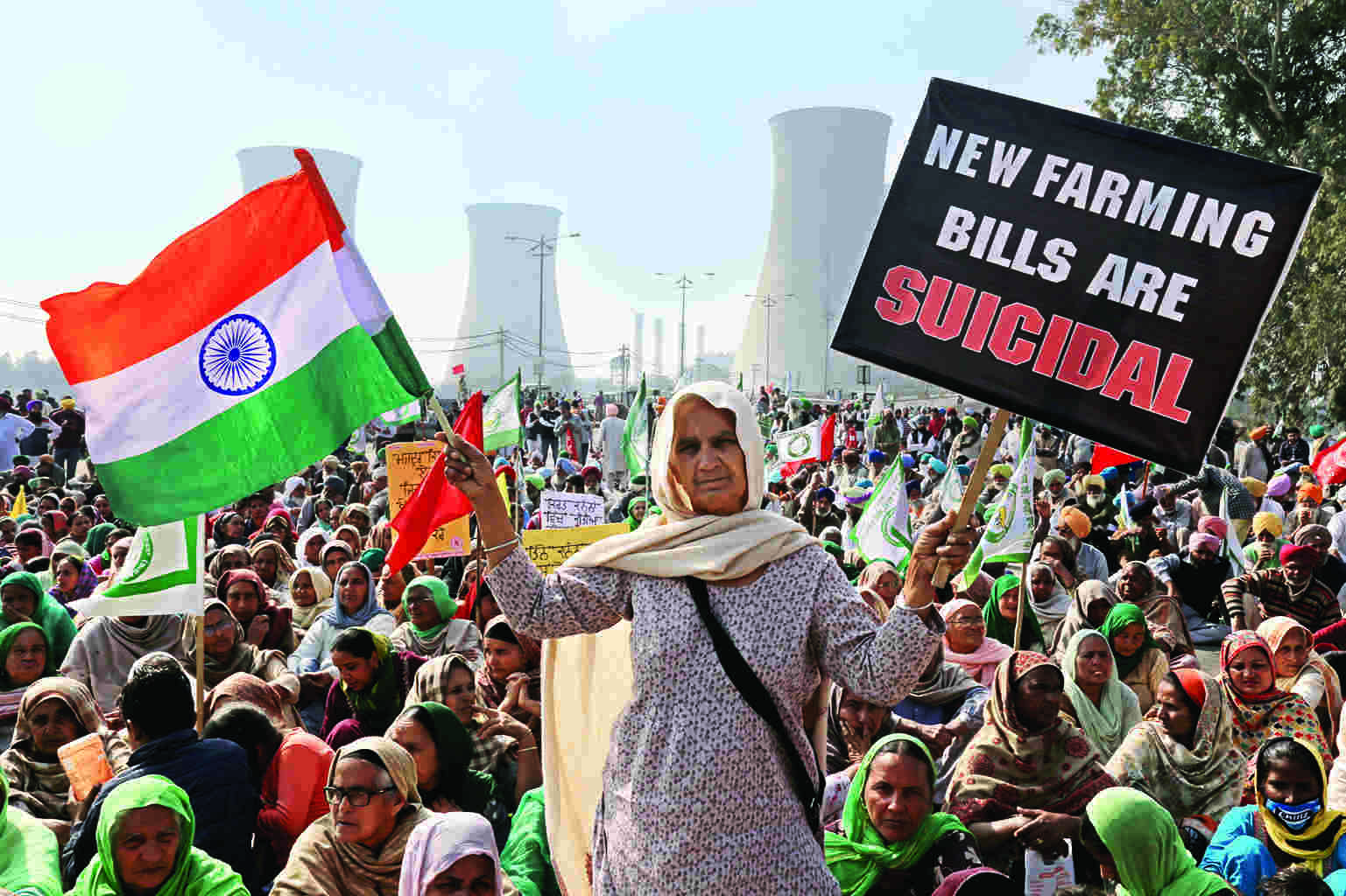 No plan to reintroduce three repealed farm laws: Govt in RS