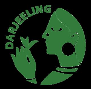 The premium leaves of Darjeeling