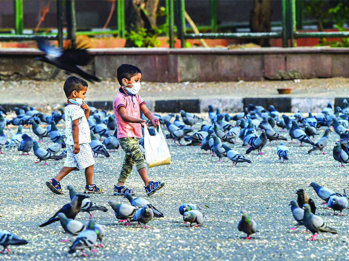 HC seeks govt stand on plea for school admission of 44K EWS category children HC seeks govt stand on plea for school admission of 44K EWS category children