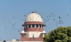 Disturbing ambiguities