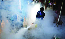 Mosquito breeding: MCDs propose to hike fine from Rs 500 to Rs 50K Mosquito breeding: MCDs propose to hike fine from Rs 500 to Rs 50K