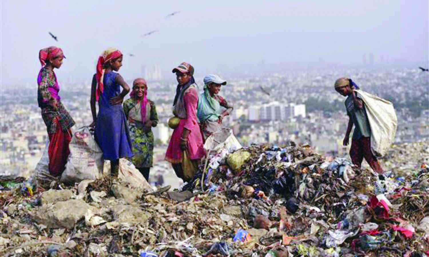 Delhi govt wants Rs 1.7K cr from Centre to clear up 3 landfills