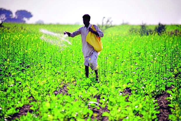 Govt to start doorstep distribution drive for crop insurance Govt to start doorstep distribution drive for crop insurance