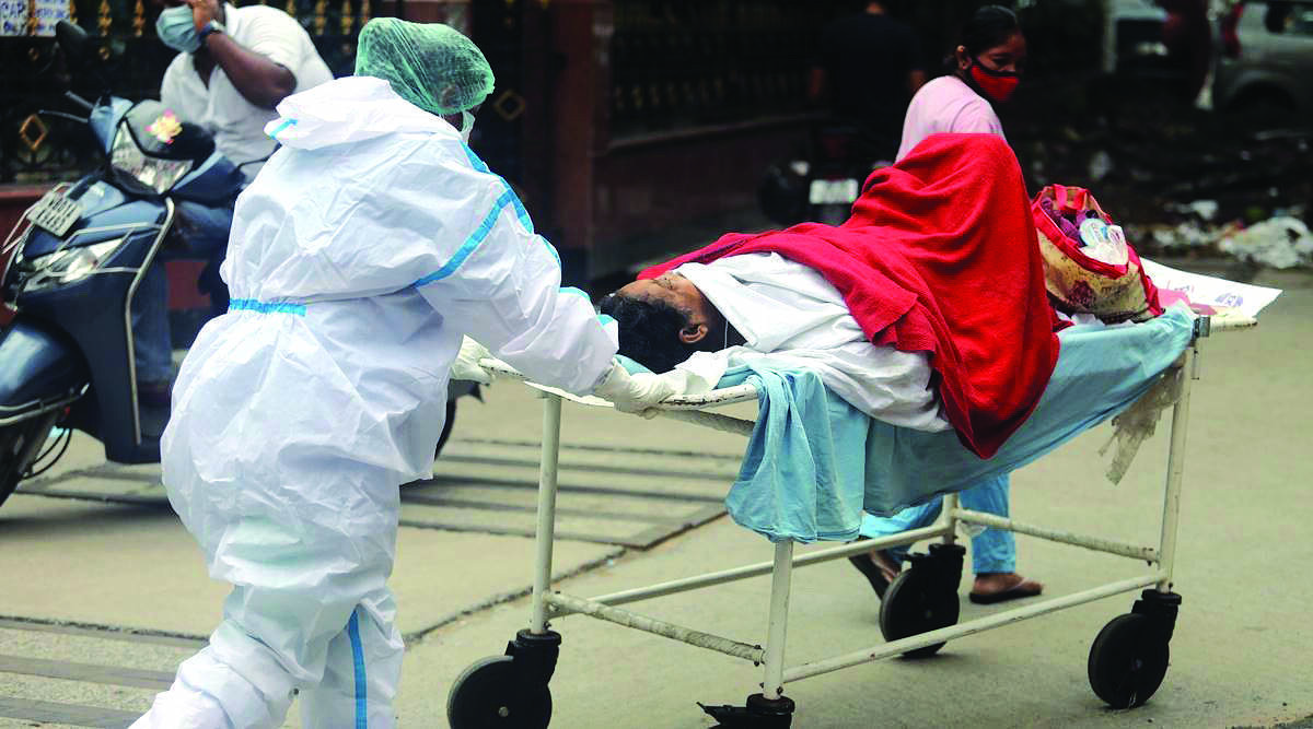 About 260 cases, only 4 fatalities reported in a day